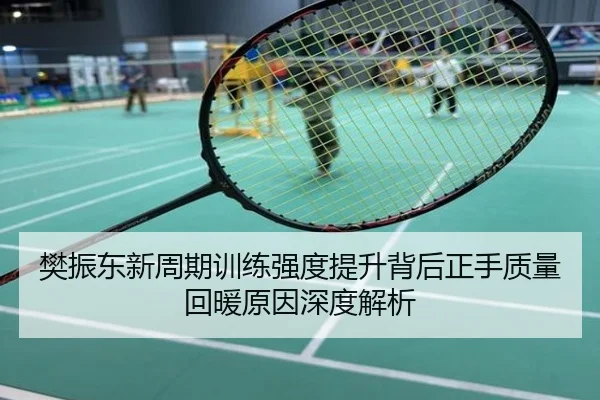 樊振东新周期训练强度提升背后正手质量回暖原因深度解析