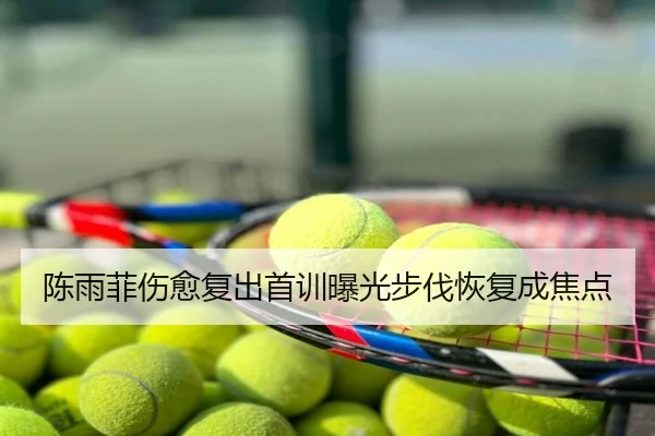 陈雨菲伤愈复出首训曝光步伐恢复成焦点